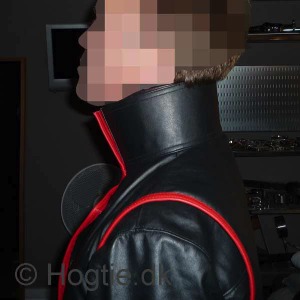 Stacks Image 1077