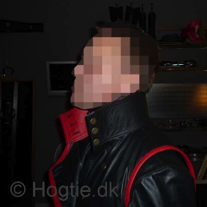 Stacks Image 1087